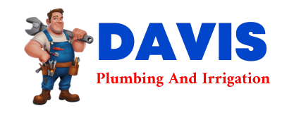 Trusted plumber in ENON